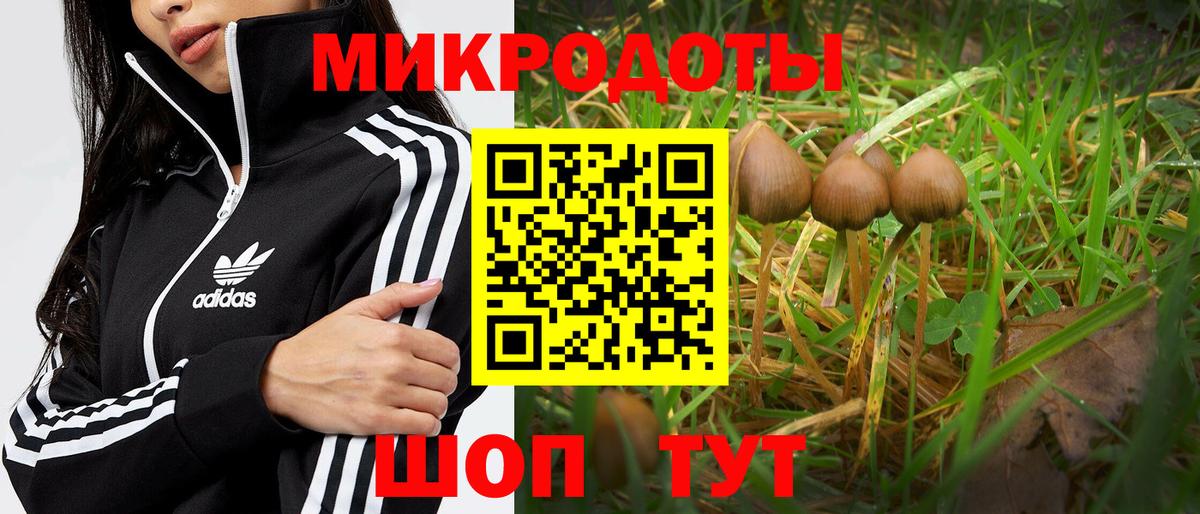 Псилоцибиновые грибы MAGIC MUSHROOMS Кстово